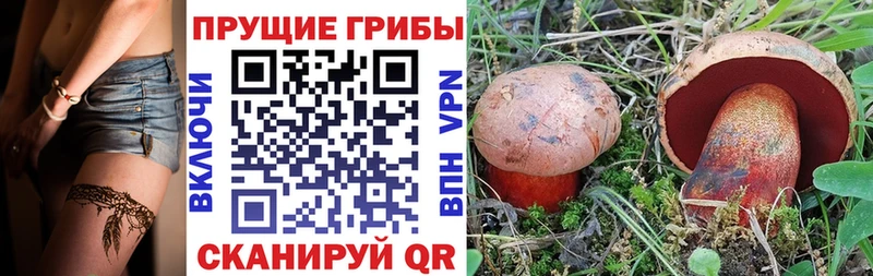 Псилоцибиновые грибы Psilocybine cubensis  цены   Иваново 